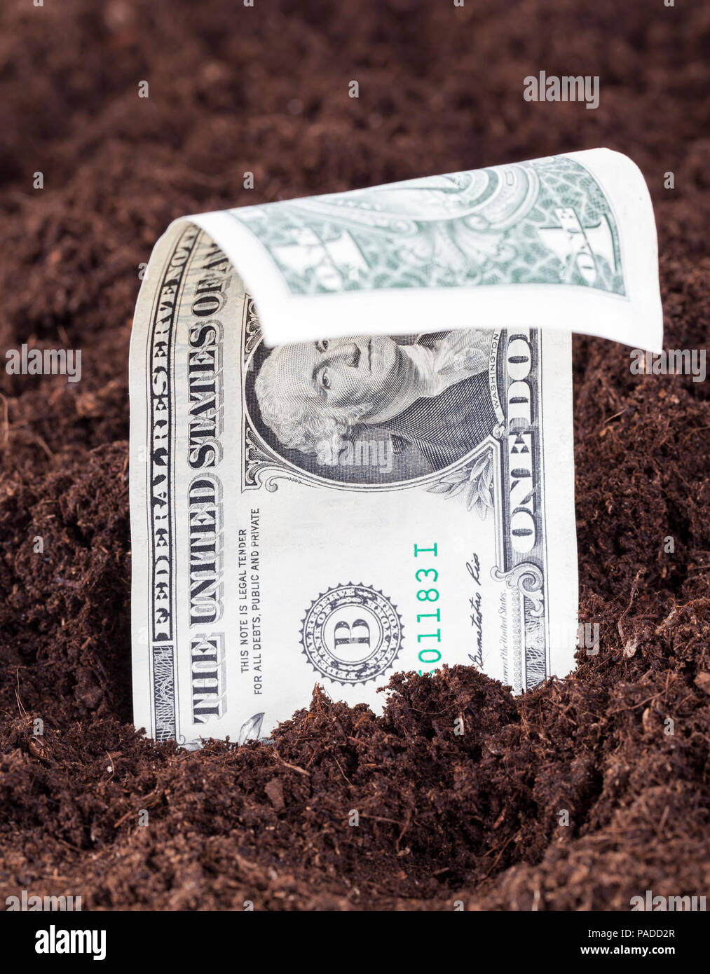 Hervorstehende oder wächst aus dem Boden einen US-Dollar auf dem Feld für landwirtschaftliche Kulturpflanzen, einem europäischen Gebiet mit ausländischem Geld Stockfoto
