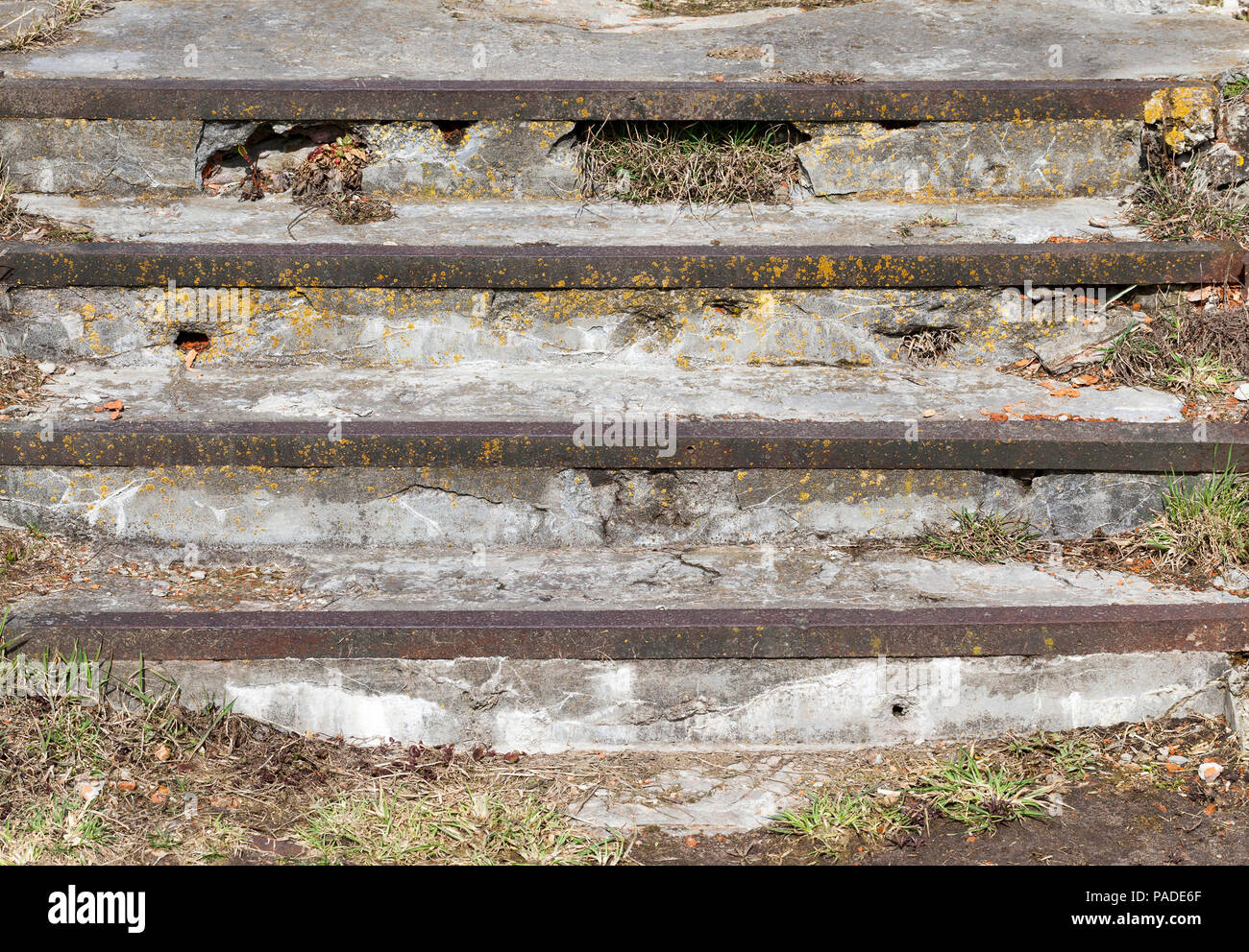 Beton Treppen verstärkt an den Rändern mit Metallecken für Bewegung auf dem Gebiet der Wald oder Park, Nahaufnahme einer Struktur in der Natur Stockfoto