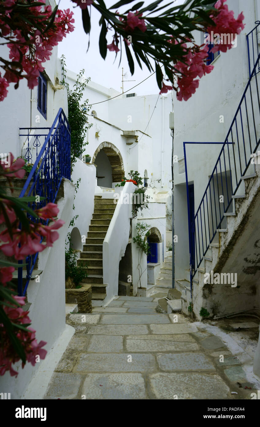 Insel Tinos, Kykladen, Griechenland, schmale Straße, Oleander Blumen, Stadt Kardiani, Stockfoto