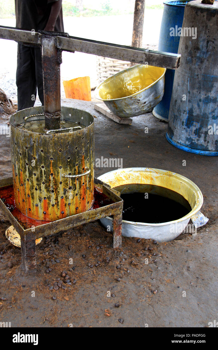 Palmöl squeezer/Kocher Setup zu einem palmöl Werk in der Nähe von Cape Coast, Ghana Stockfoto