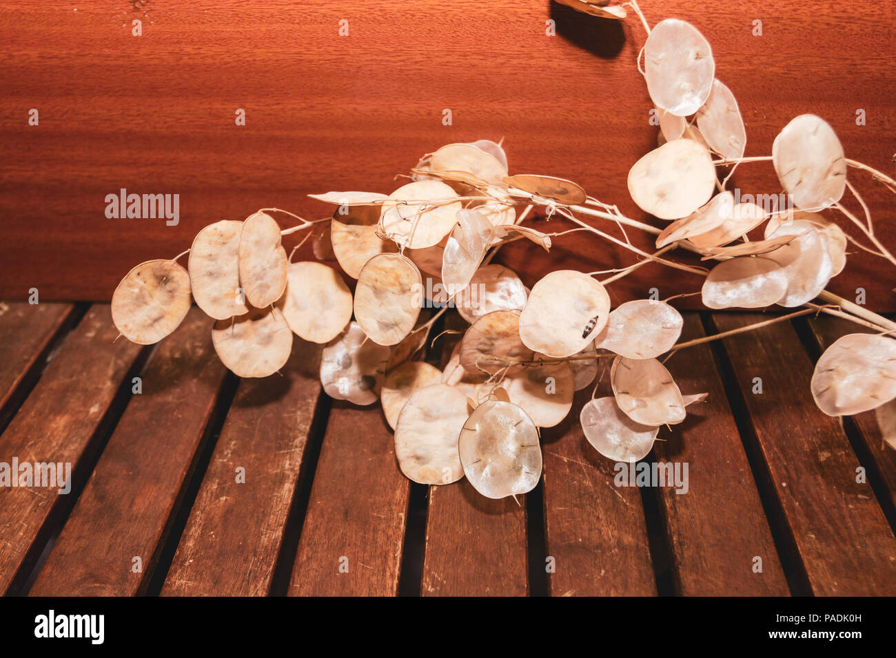 Herbstlaub auf einem Holztisch. Stockfoto