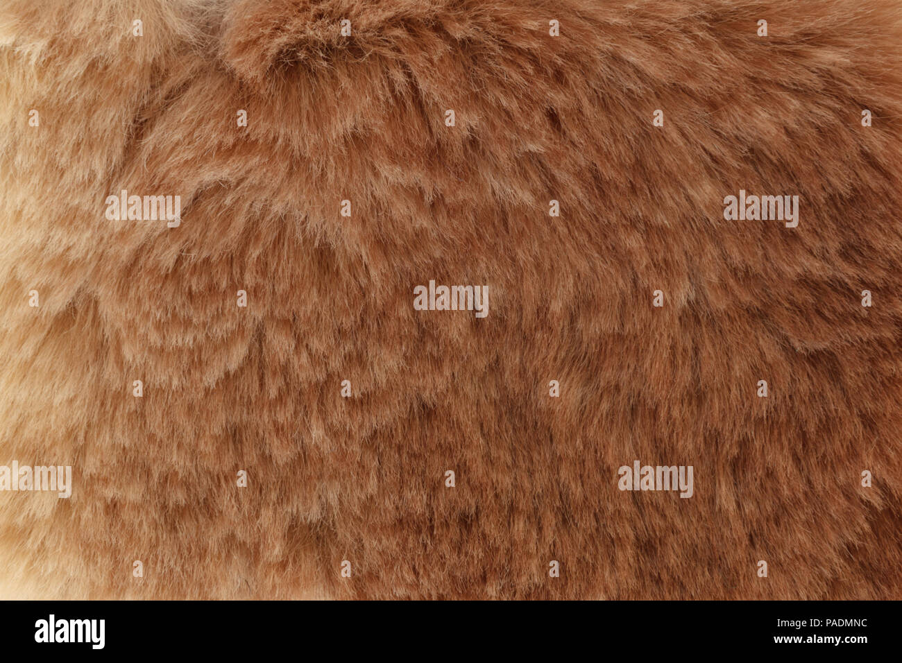 Braun chinchilla Fell Textur Stockfoto