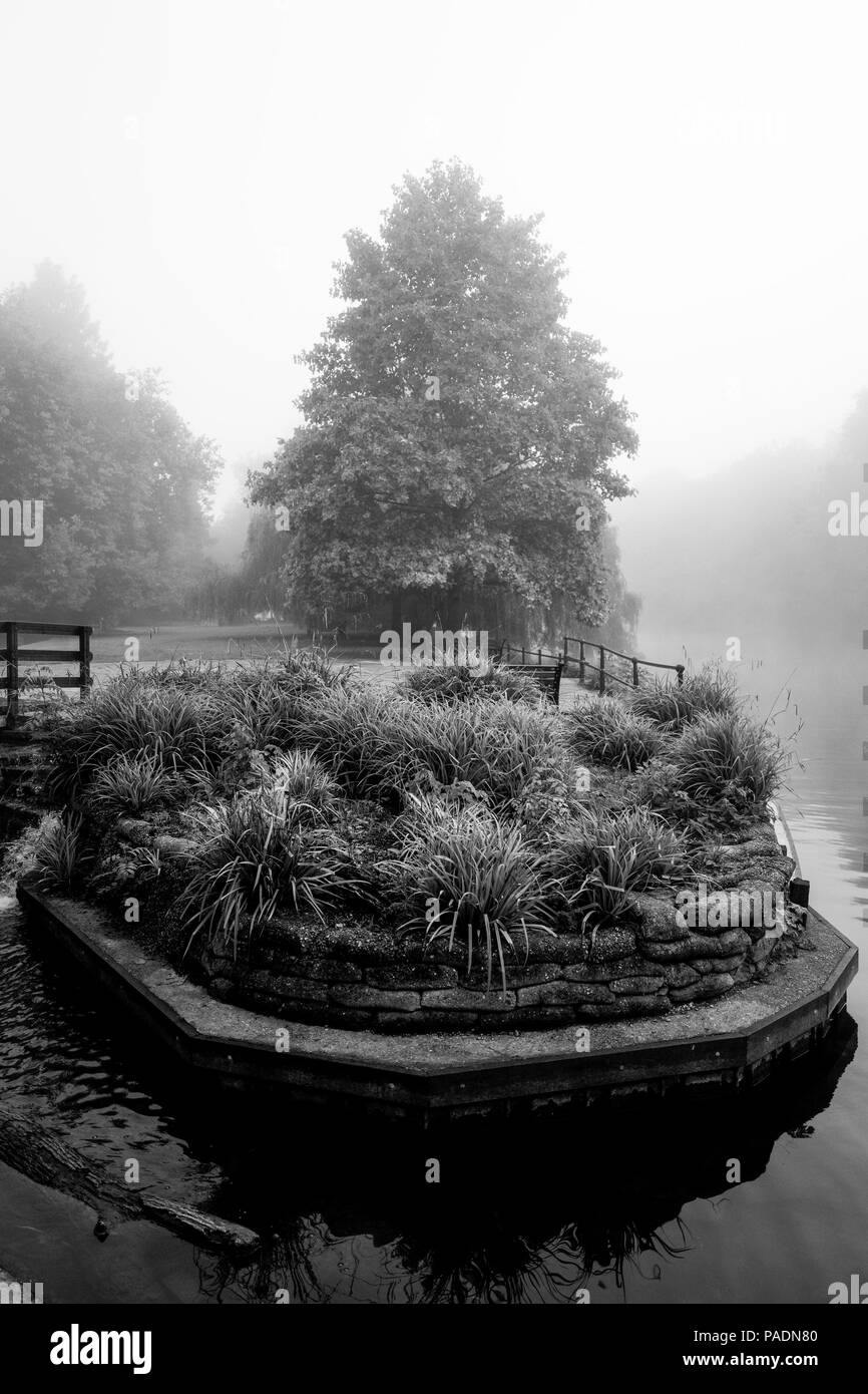 Maidenhead, Berkshire, allgemeine Ansicht, Donnerstag 28,07,2016, Raymill Insel, Themse, Thames Valley, Morgen, Nebel, Nebel, atmosphärische, Bedingungen, © Peter Spurrier, Stockfoto