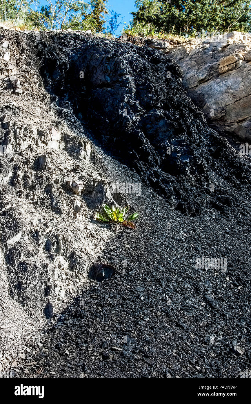 Coallout im Grande Cache Alberta Kanada Stockfoto