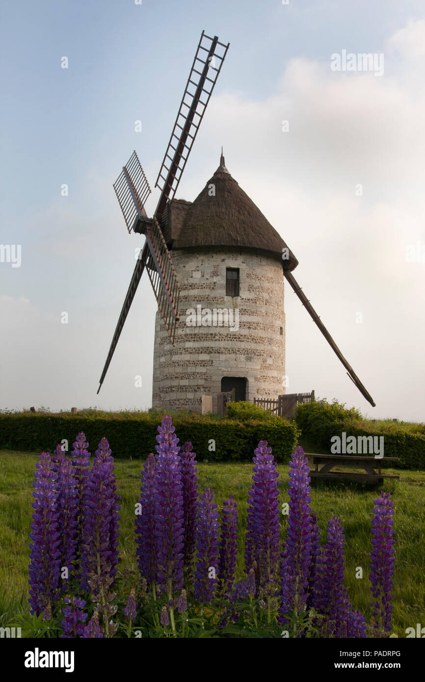 La Moulin de Pierre, eine restaurierte Windmühle mit Segel, Castellane, Calvados, Basse-Normandie, Normandie, Frankreich Stockfoto