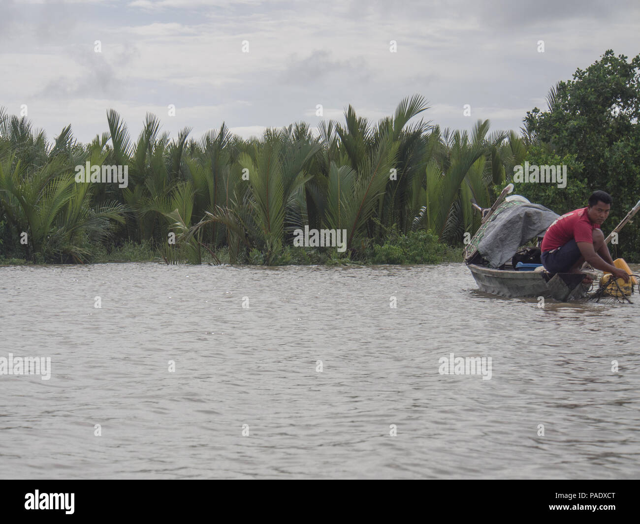 Fischer war die Erfassung Fisch und Mangrovenwälder Stockfoto