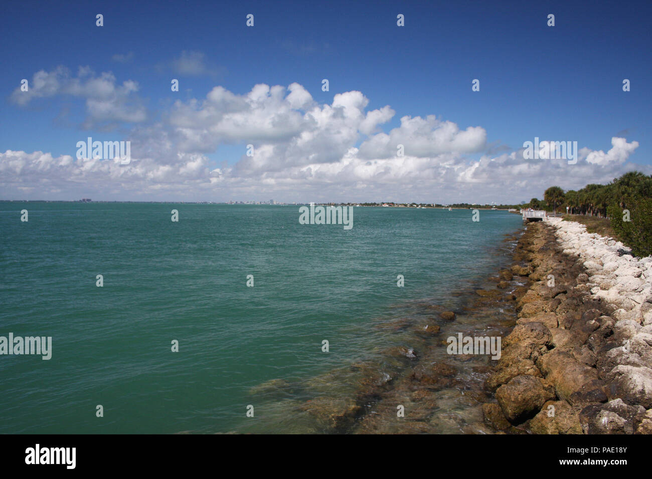 Schöner Tag an Bill Baggs Cape Florida State Park, Key Biscayne, Florida Stockfoto