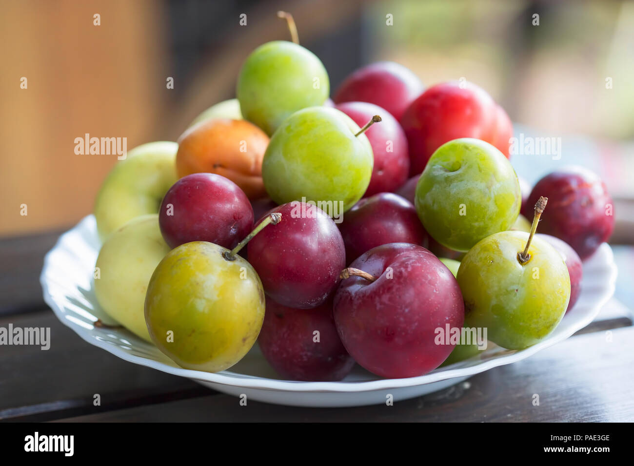 Aprikosen/Marillen, Äpfel, Mirabelle, grüne Pflaumen (UME) und Pflaumen. Sommer Früchte an der Platte. Stockfoto