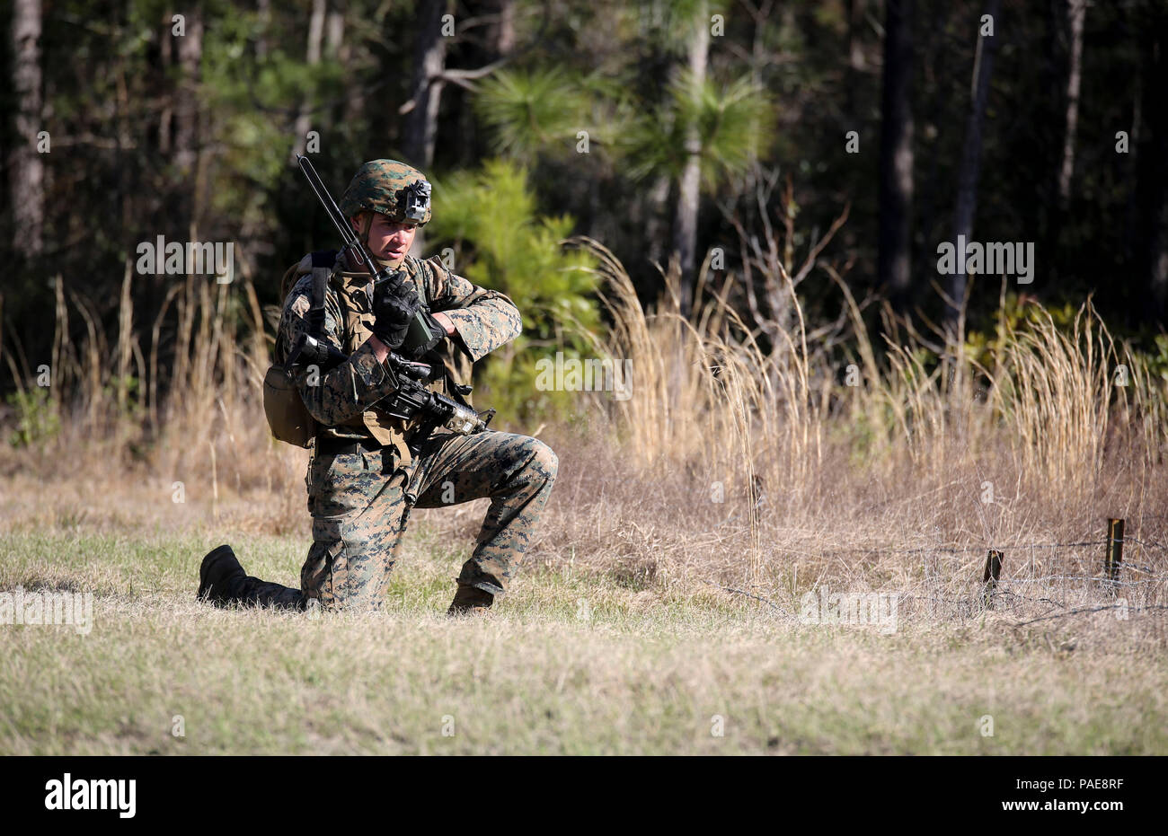 Cpl. Zachary Hannah, eine Bekämpfung der Ingenieur mit 2 Combat Engineer Battalion, kommuniziert über ein Radio während der Zähler - Improvised Explosive Device operations Teil der sapper des Bataillon squad Wettbewerb in Camp Lejeune, N.C., 22. März 2016. Der Zähler - IED Teil der Wettbewerb Beobachtung Fähigkeiten Squads' zum Test, da Sie eine Spur von simulierten IEDs gefegt. (U.S. Marine Corps Foto von Cpl. Paul S. Martinez/Freigegeben) Stockfoto