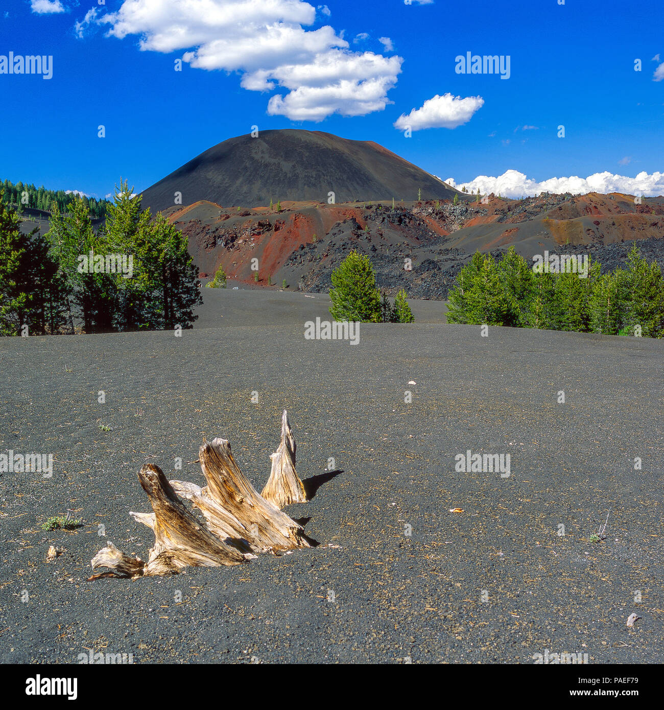 Schlackenkegel, Lassen Volcanic Nationalpark, Kalifornien Stockfoto