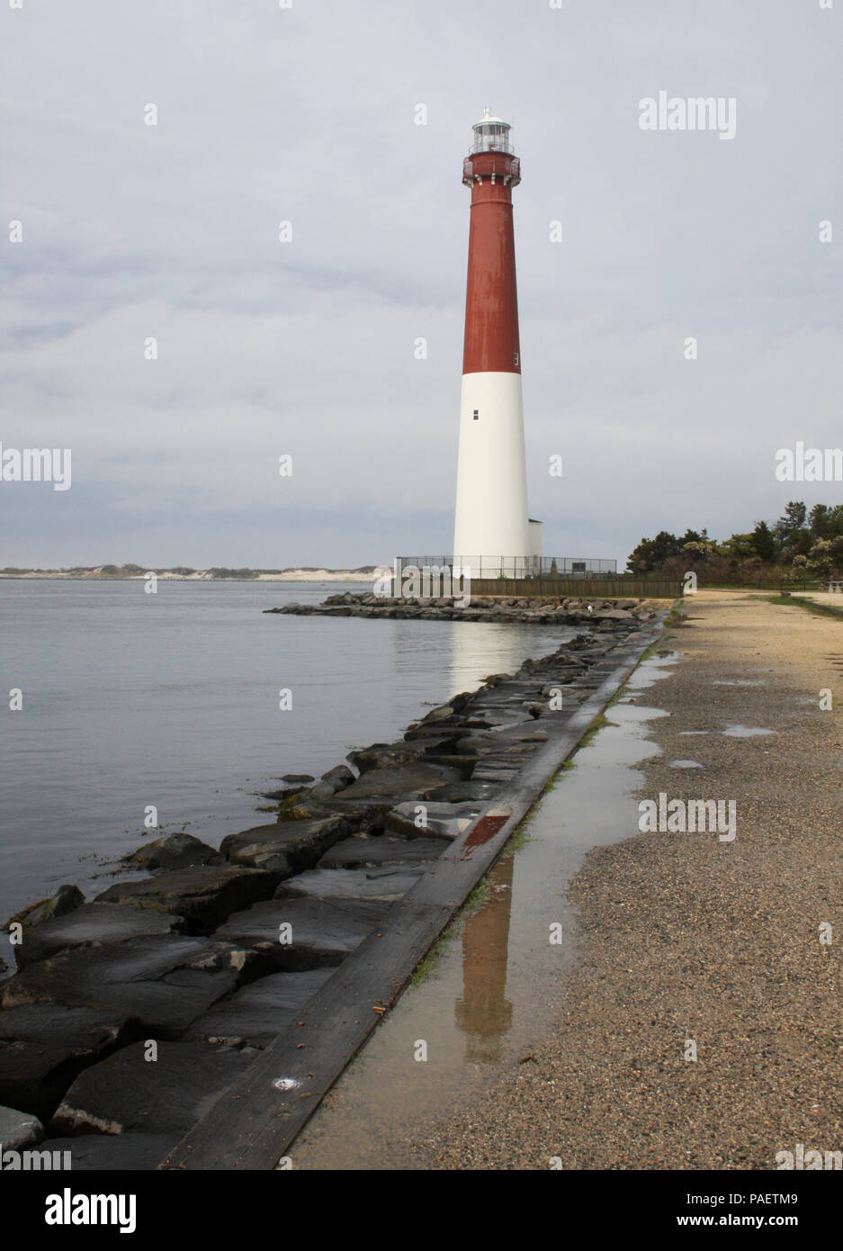 long beach state jersey