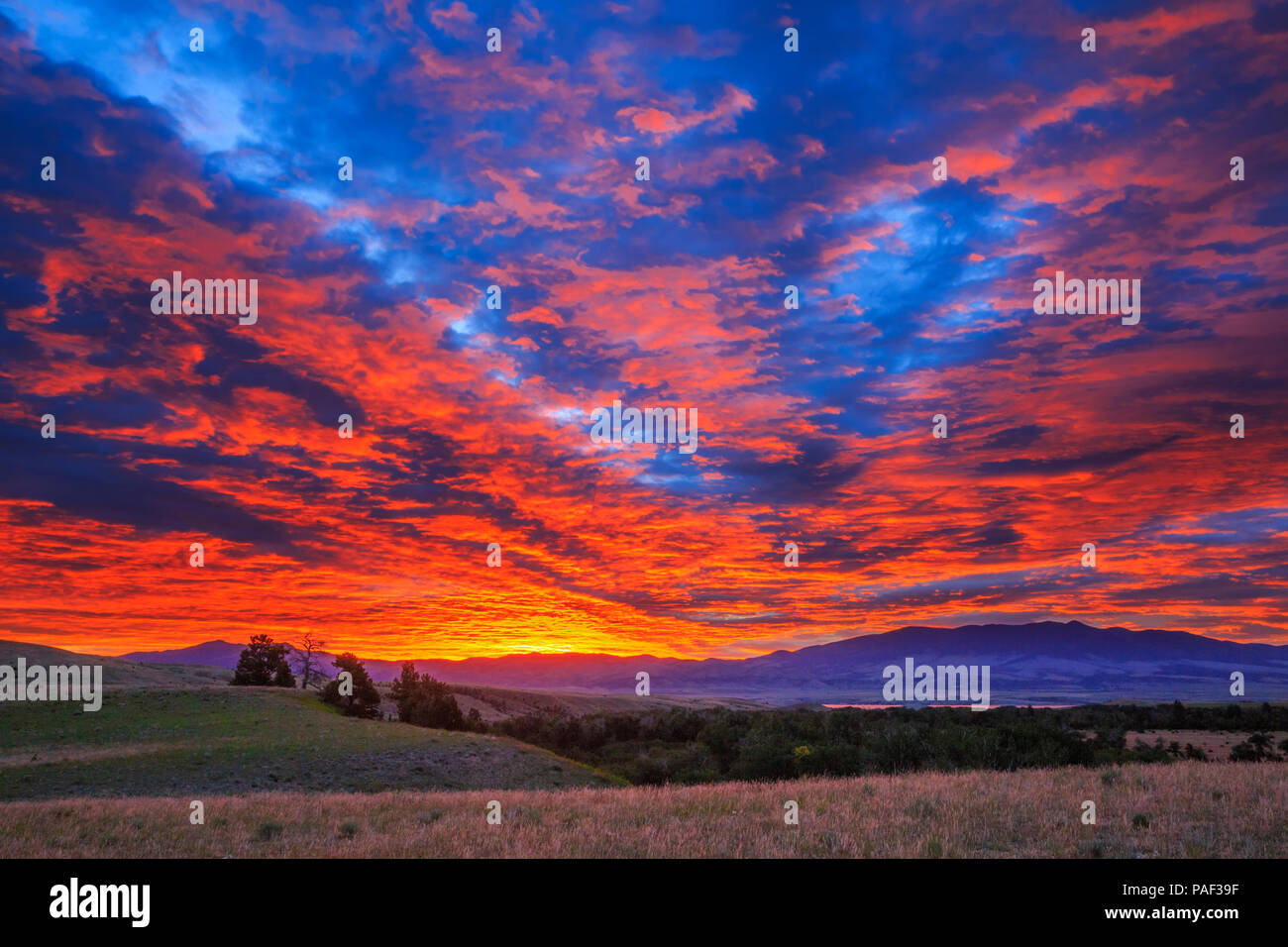 Brillante sunrise Himmel in der Nähe von Winston, Montana Stockfoto