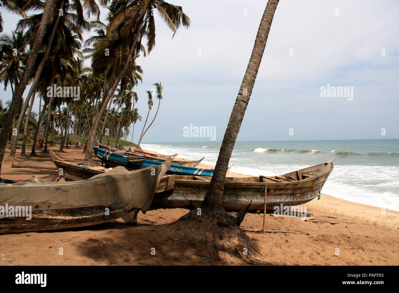 Fischerboote an einem von Palmen gesäumten Strand in der Nähe von Cape Coast, Ghana Stockfoto