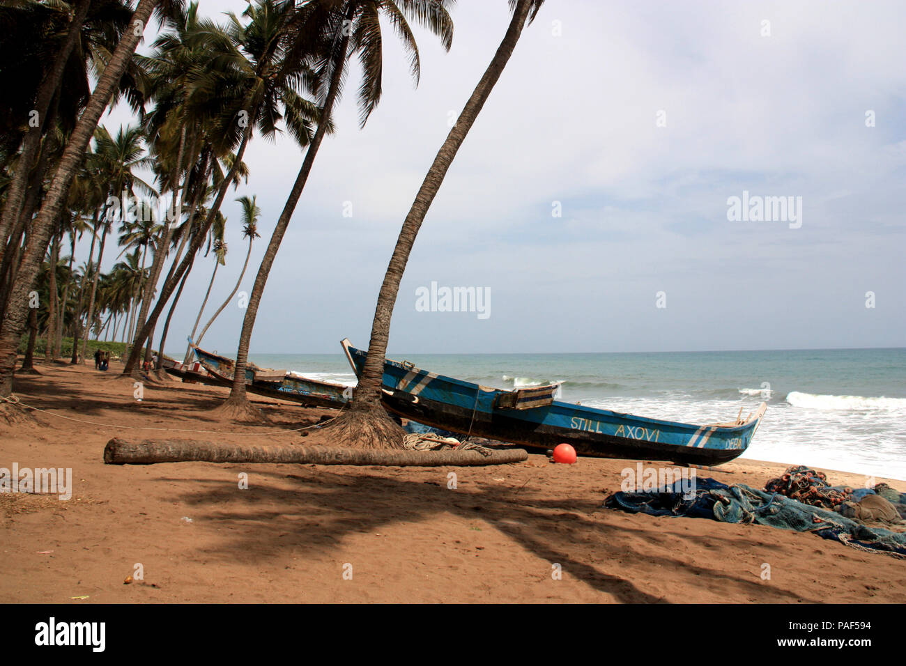 Angeln Boot an einem von Palmen gesäumten Strand in der Nähe von Cape Coast, Ghana Stockfoto