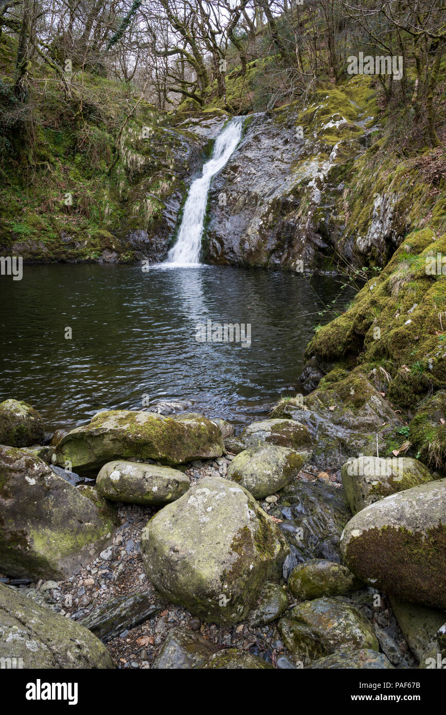 Wasserfall an der Afon Dulyn in der Nähe von Tal-y-bont, Conwy, North Wales, UK. Stockfoto