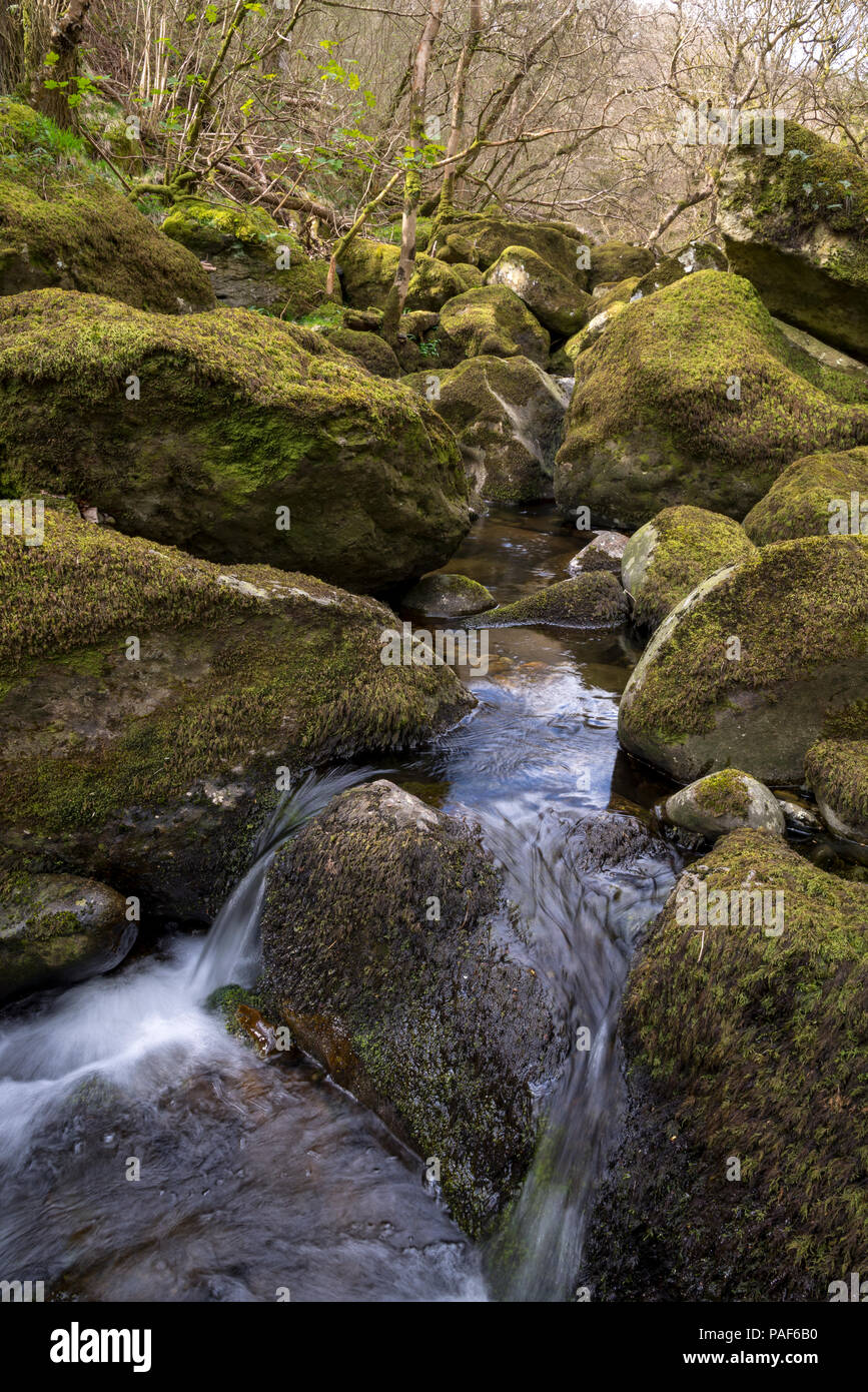 Einen felsigen Abschnitt des Afon Dulyn in der Nähe von Tal-y-bont, Conwy, North Wales. Stockfoto