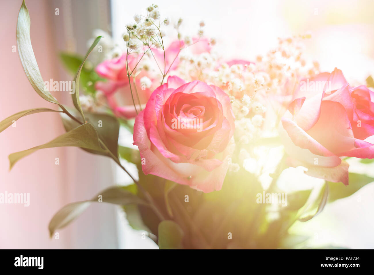 Schönen Blumenstrauß aus Rosen auf ein Fenster mit sanften Sonnenschein. Stockfoto