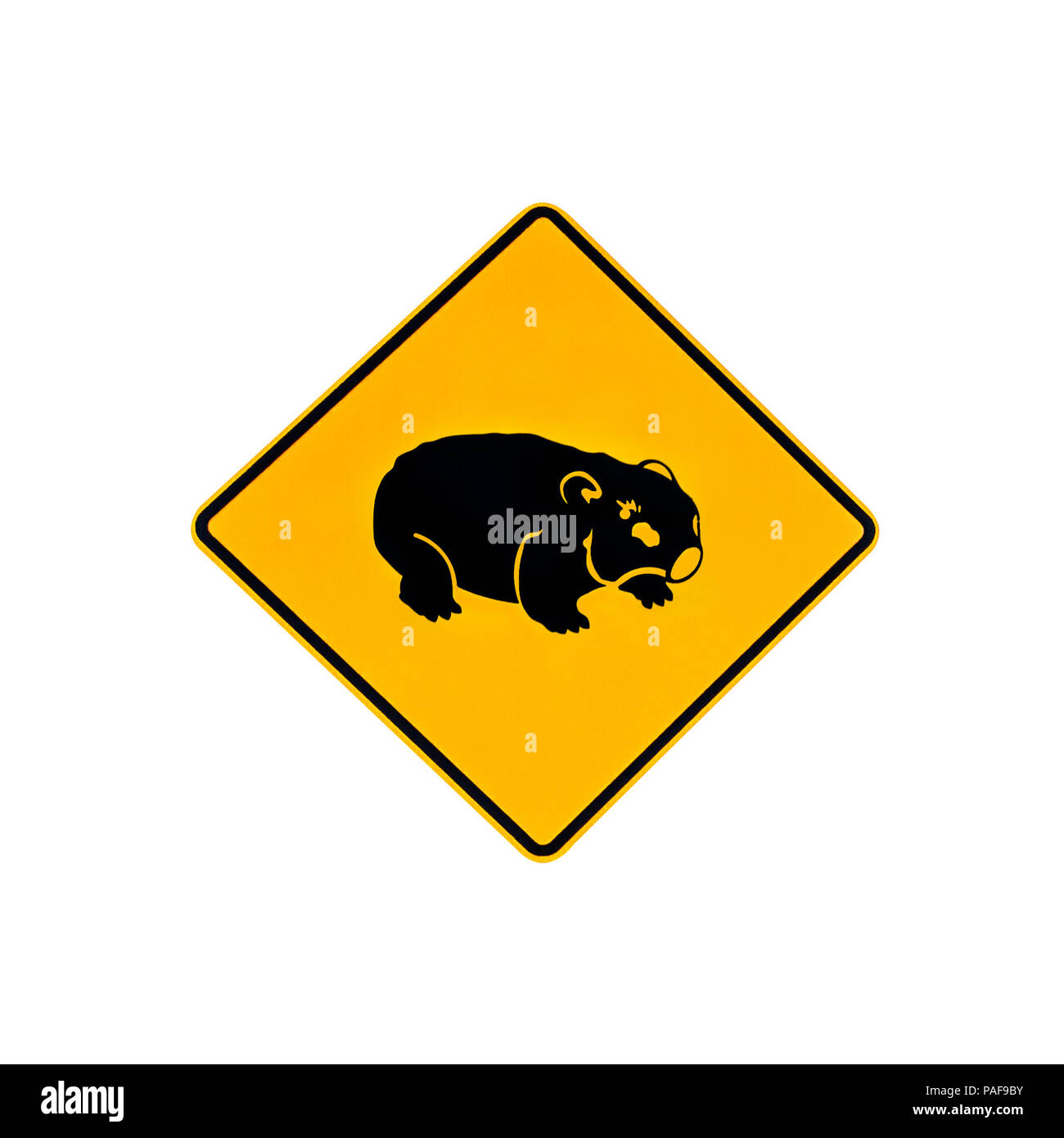 Australische Warnung Schild für Wombat Überqueren der Straße aus Australien. Auf weiß isoliert. Stockfoto