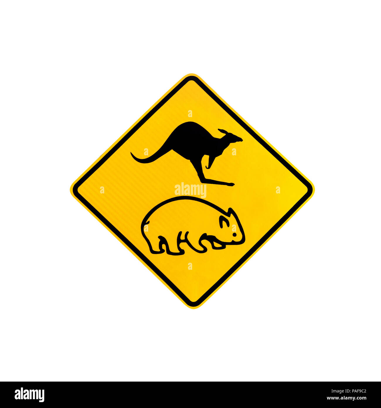 Australische Warnung Schild für Wombats und Kängurus in Australien. Auf weiß isoliert. Stockfoto