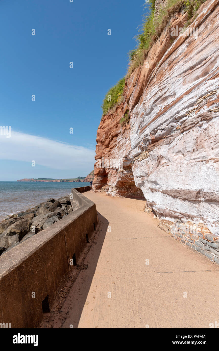 Honiton, Devon, England, UK. Die Trias roten Klippen an der Küste von Wessex Stockfoto