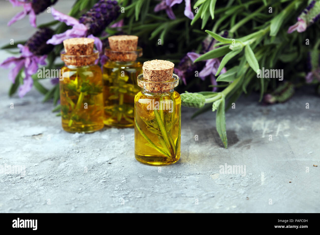 Lavendel Öl in einer Glasflasche auf einem Hintergrund von frischen Blumen Stockfoto