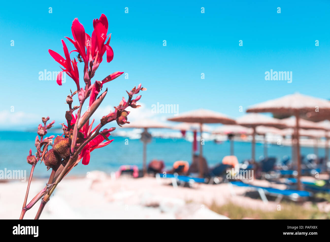 Sommer Urlaub Konzept. Schöne Aussicht auf den Strand, der mit