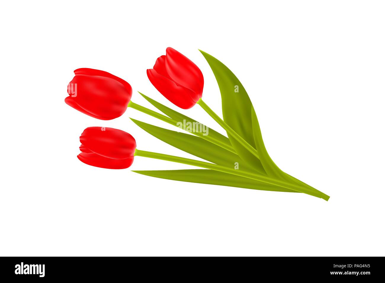 Blumenstrauß aus Frühling Tulpen Blumen auf weißem Hintergrund. Vector Illustration. Stock Vektor