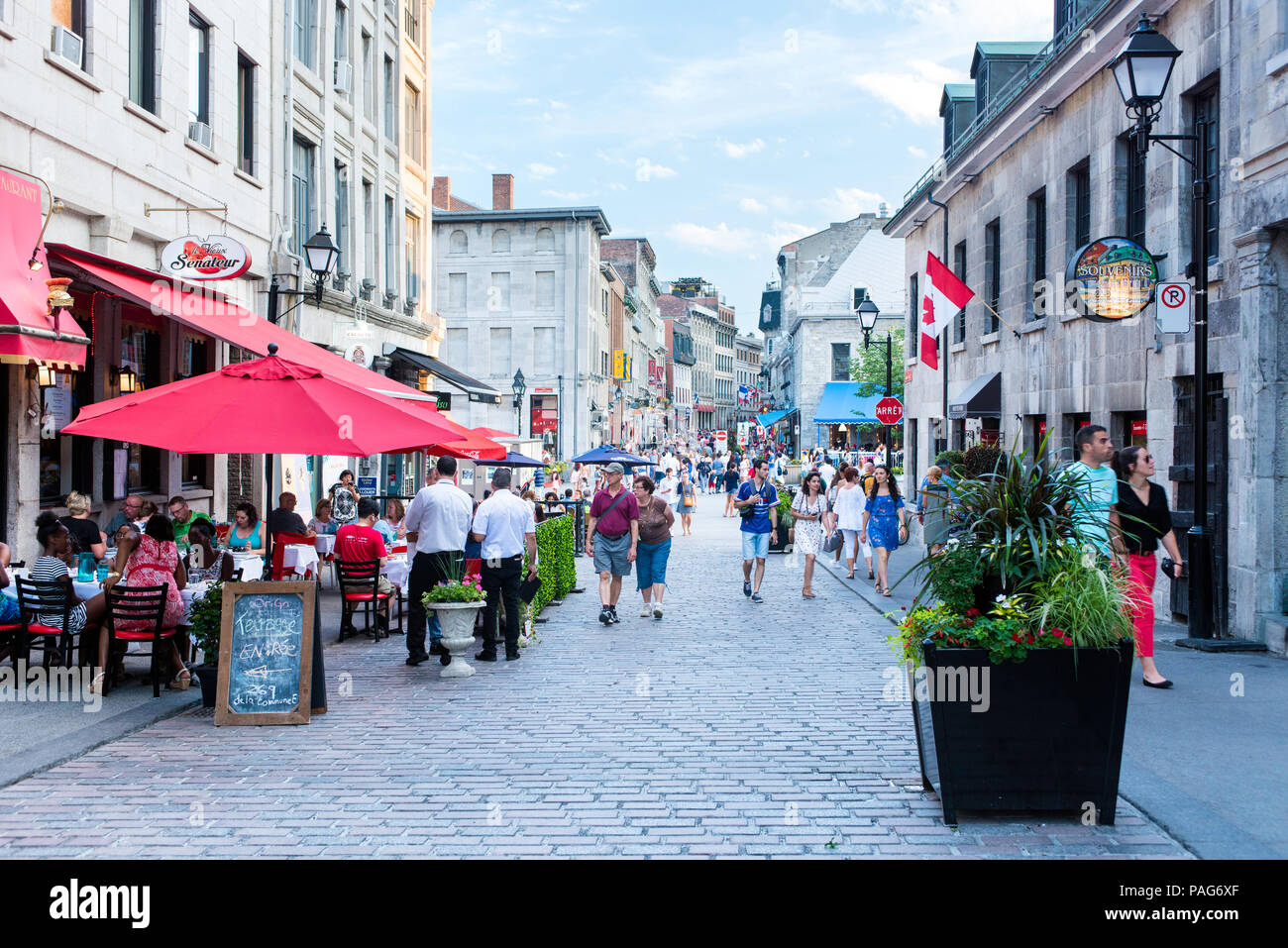 Eine Straße in der Altstadt von Montreal während des Tages im Sommer Stockfoto