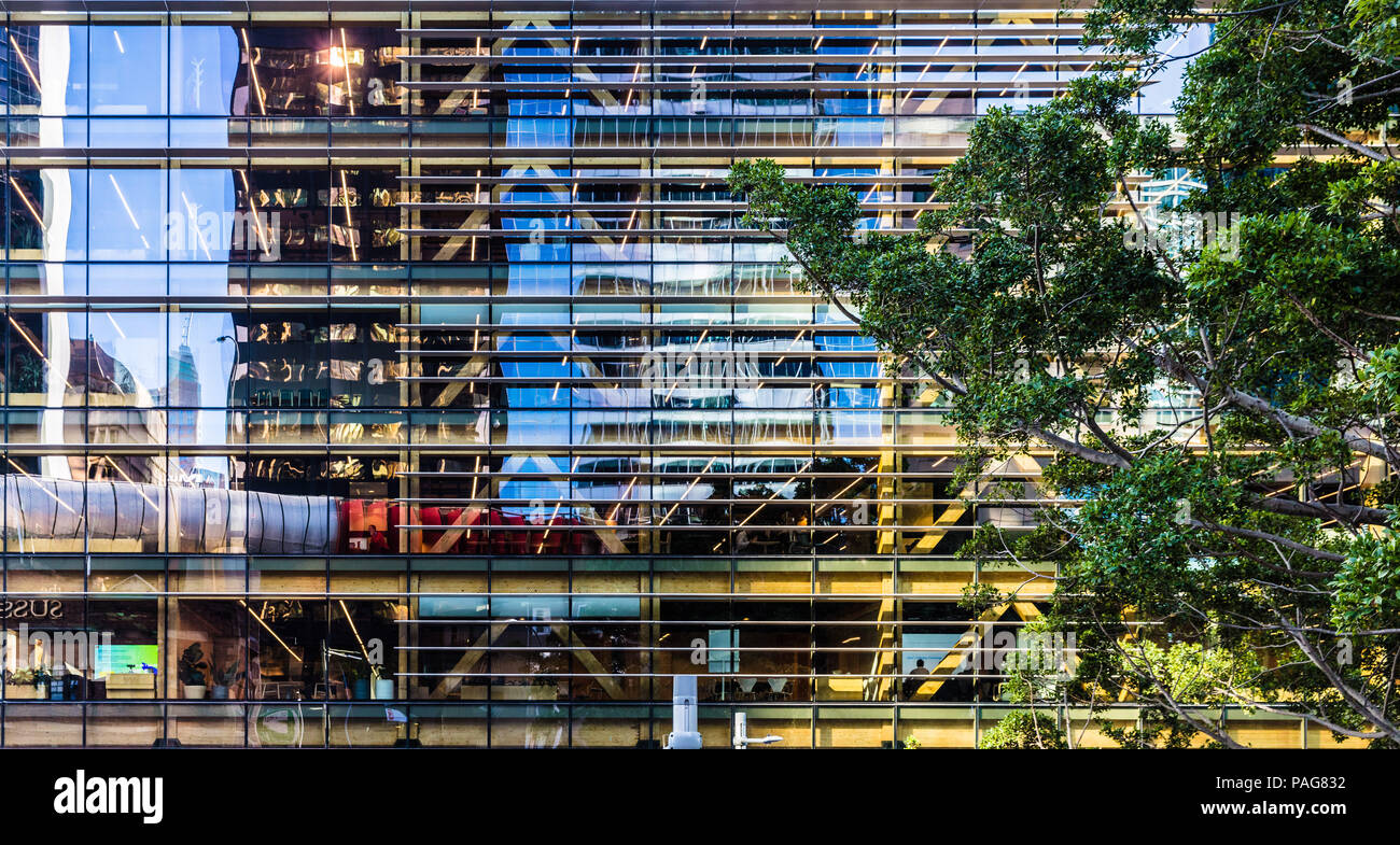 International House in Barangaroo Sydney, die Heimat von Accenture. Eine bemerkenswerte moderne Büro Gebäude aus Holz gebaut. Stockfoto