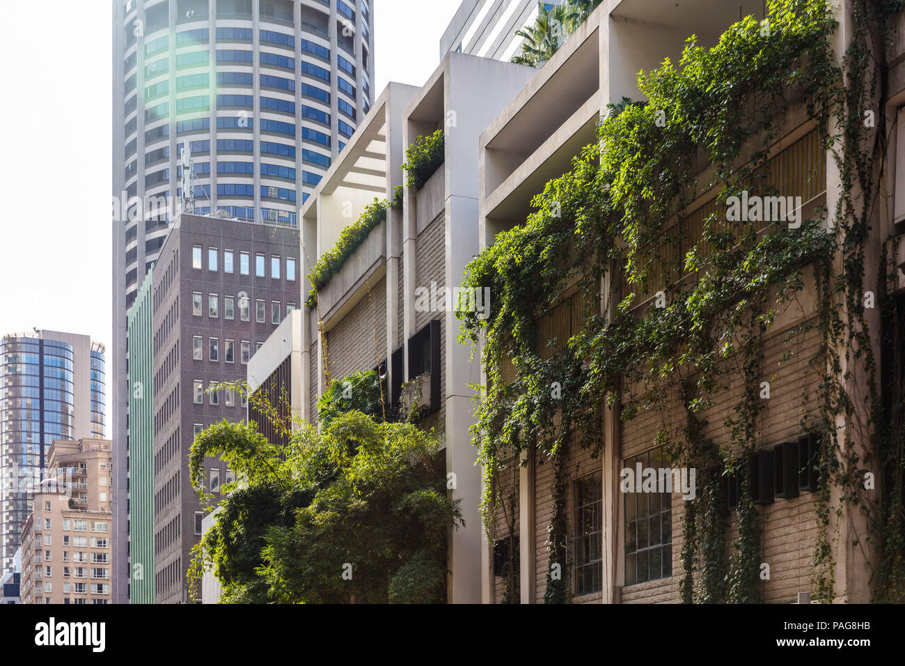 Grüne Gebäude in Sydney, Australien - The Ivy auf der George Street Stockfoto