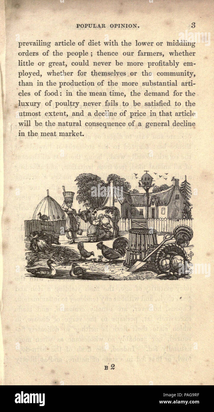 Eine praktische Abhandlung über Zucht, Aufzucht und Mast alle Arten von Hausgeflügel, Fasane, Tauben und Kaninchen (Seite 3) Stockfoto