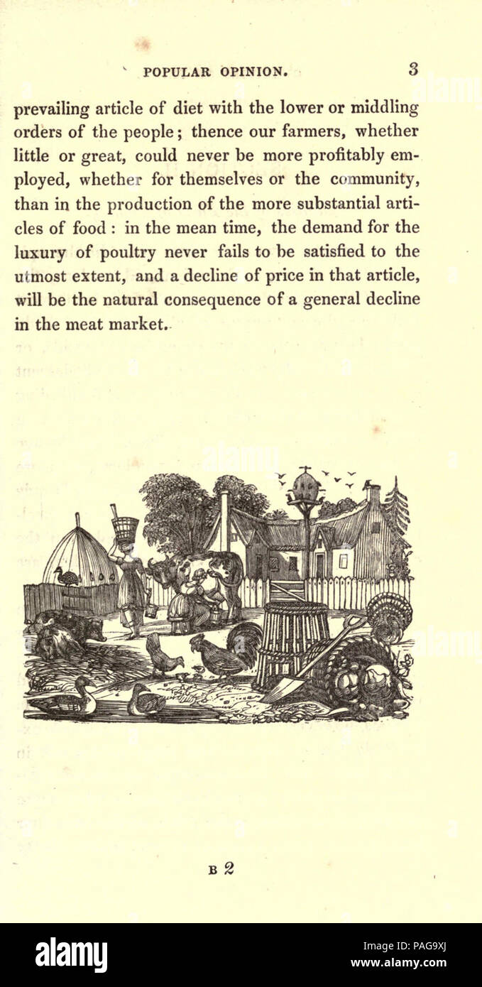 Eine praktische Abhandlung über Zucht, Aufzucht und Mast, alle Arten von Hausgeflügel, Fasane, Tauben und Kaninchen (Seite 3) Stockfoto