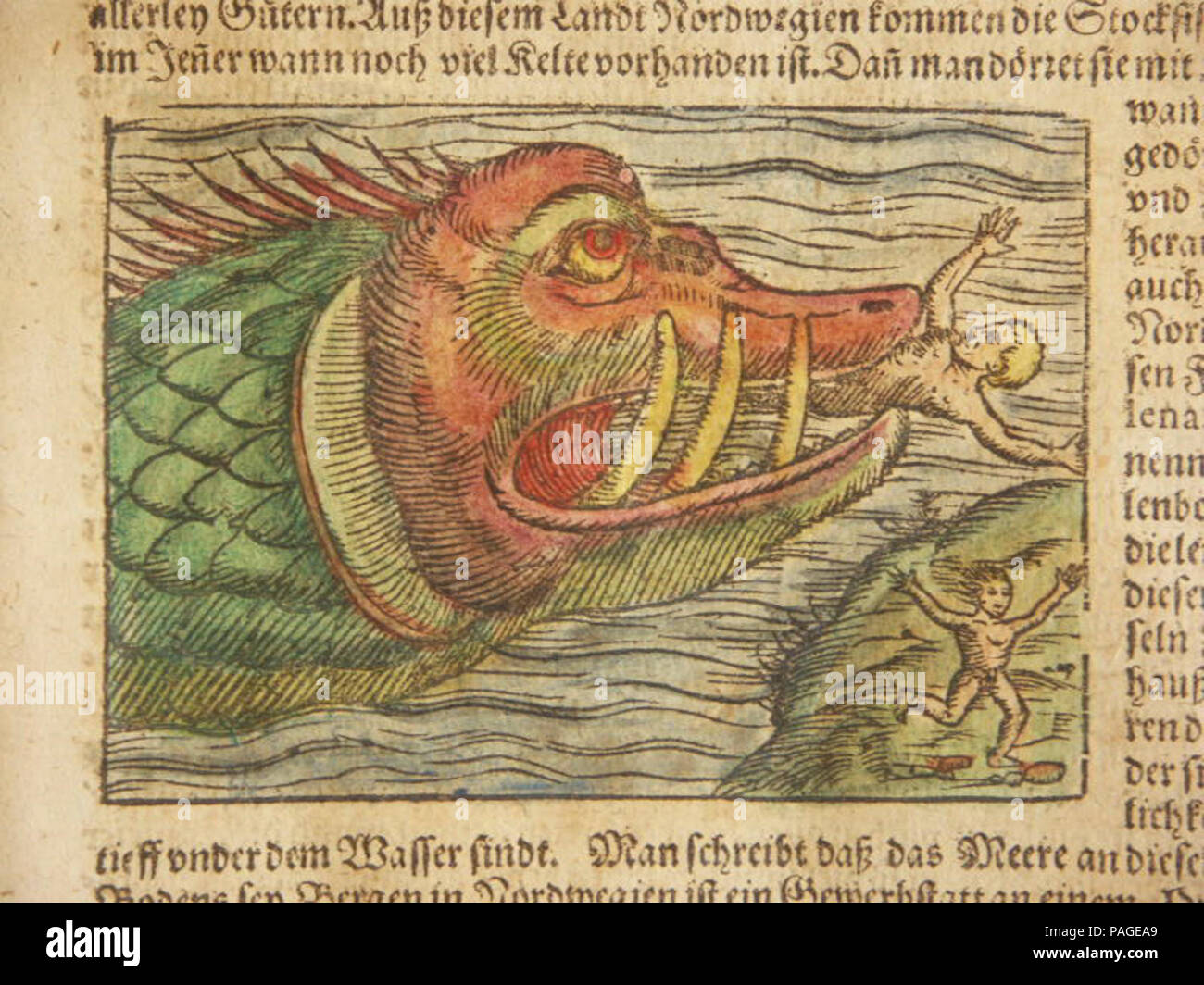 Ein seemonster (1600). Stockfoto