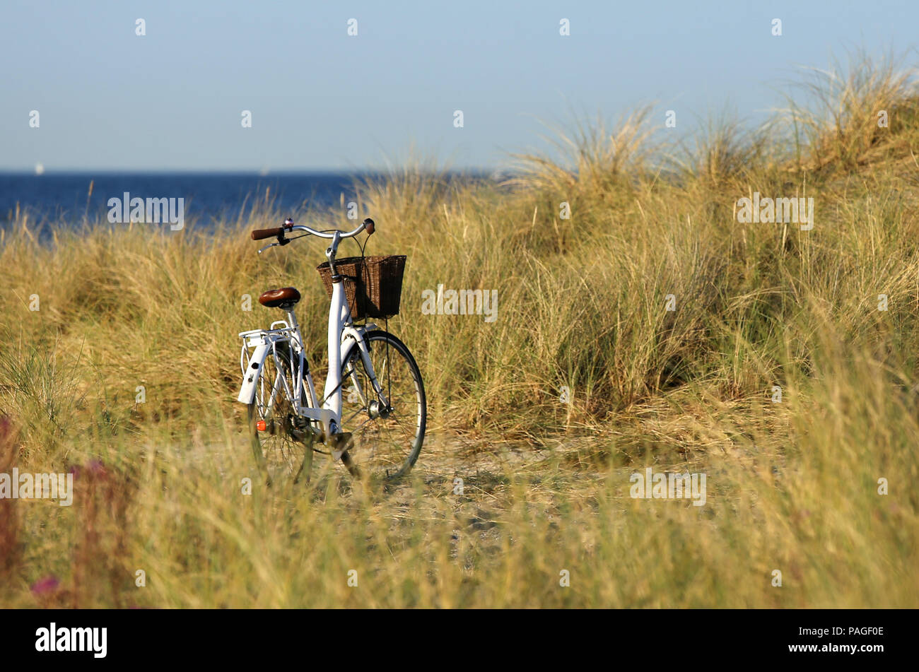 Fahrrad stehen im Sea Shore, Amager Strand, Dänemark Stockfoto