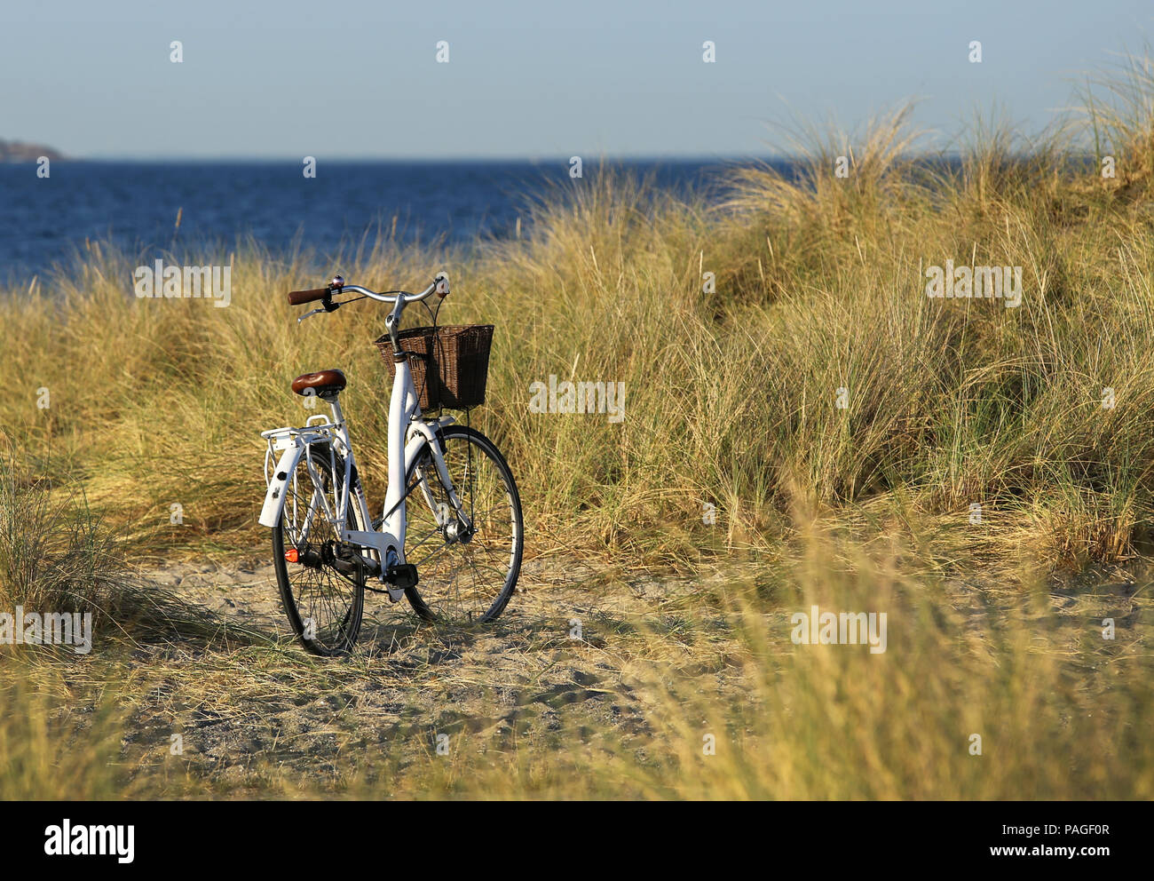 Fahrrad stehen im Sea Shore, Amager Strand, Dänemark Stockfoto