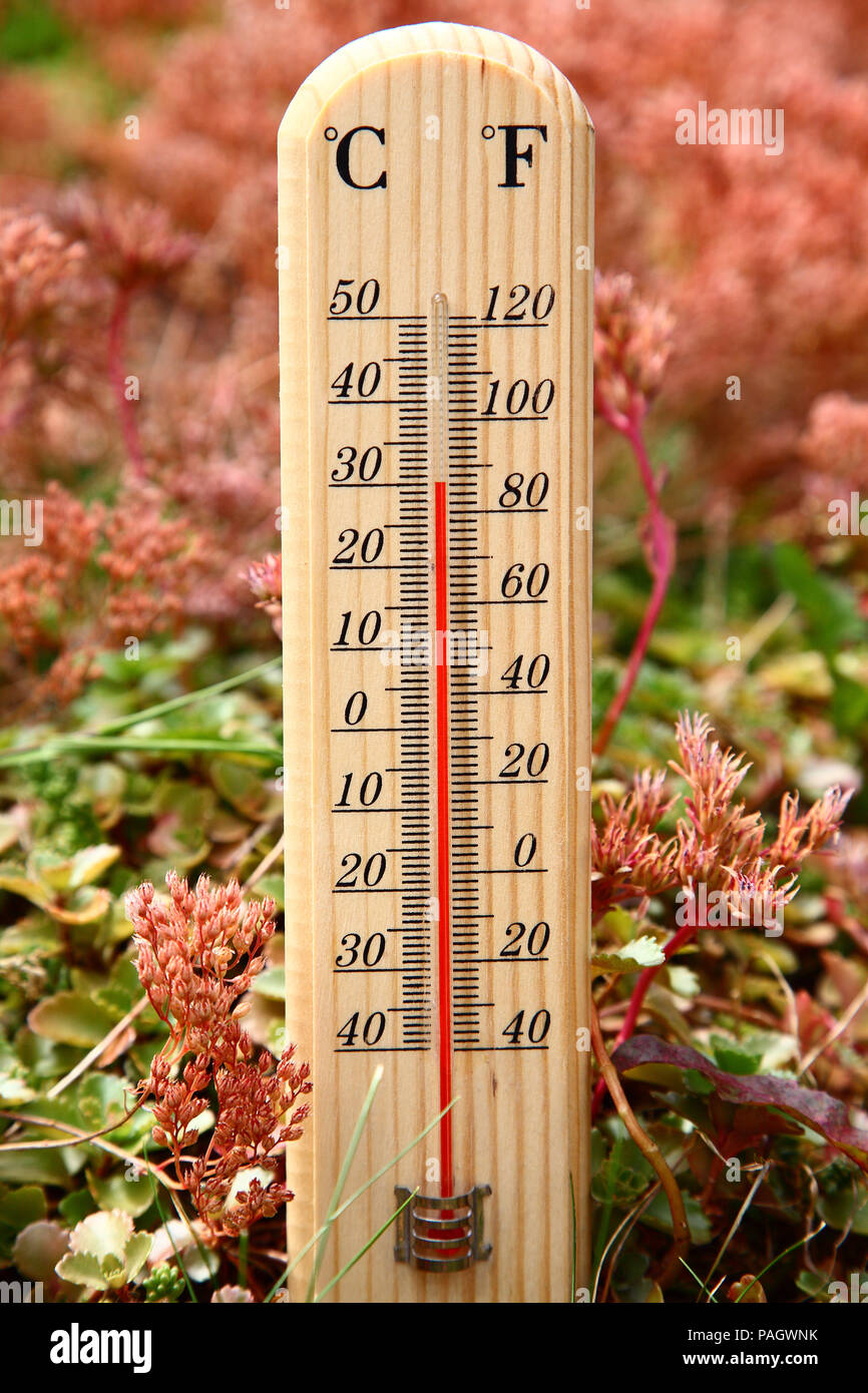 Morley, Leeds, UK vom 23. Juli 12.00 2018 und die Temperatur in Leeds hat bereits auf 30 Grad Celsius (86 Grad Fahrenheit) an, was verspricht ein weiteres glühend heiße Woche in Großbritannien zu sein. Credit: Andrew Gardner/Alamy leben Nachrichten Stockfoto