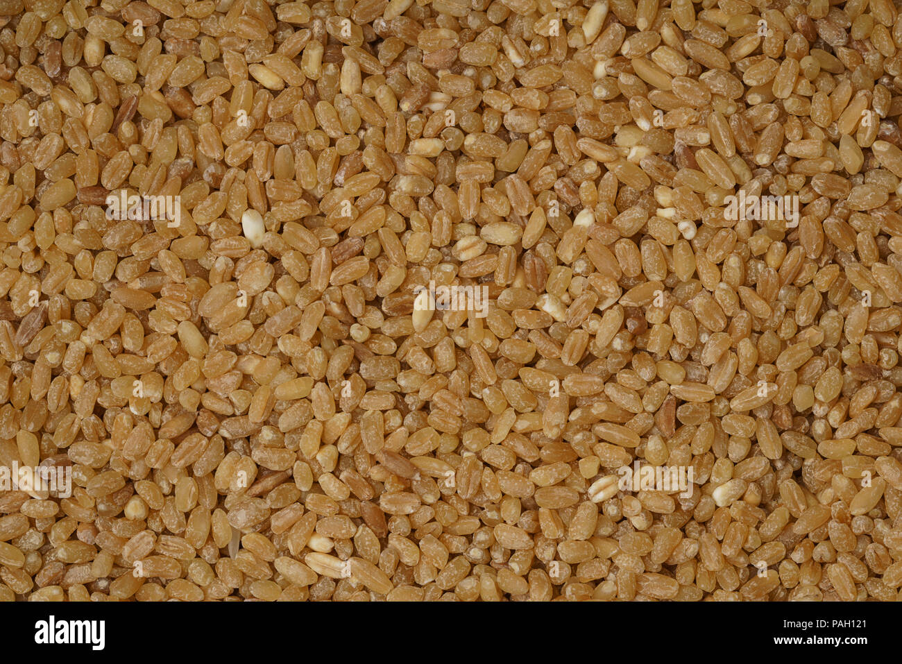 Hintergrund der Harter roter Winterweizen Korn Stockfoto