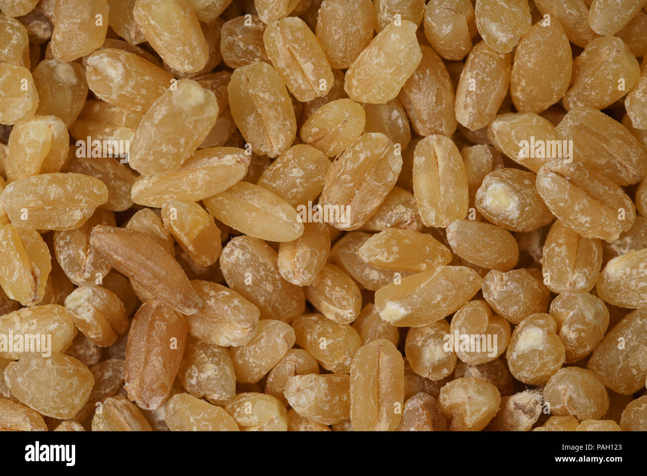 Hintergrund der Harter roter Winterweizen Korn Stockfoto