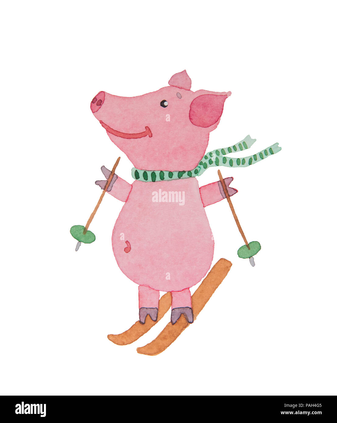 Glucklich Und Freundlich Schwein Fahrten Ski Mit Stocken Im Winter Gemalte Aquarell Auf Weissem Hintergrund Stockfotografie Alamy