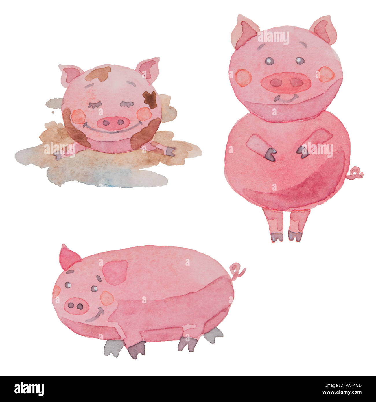 Drei Lustige Rosa Schweine In Aquarell Auf Weissem Hintergrund Gemalt Stockfotografie Alamy