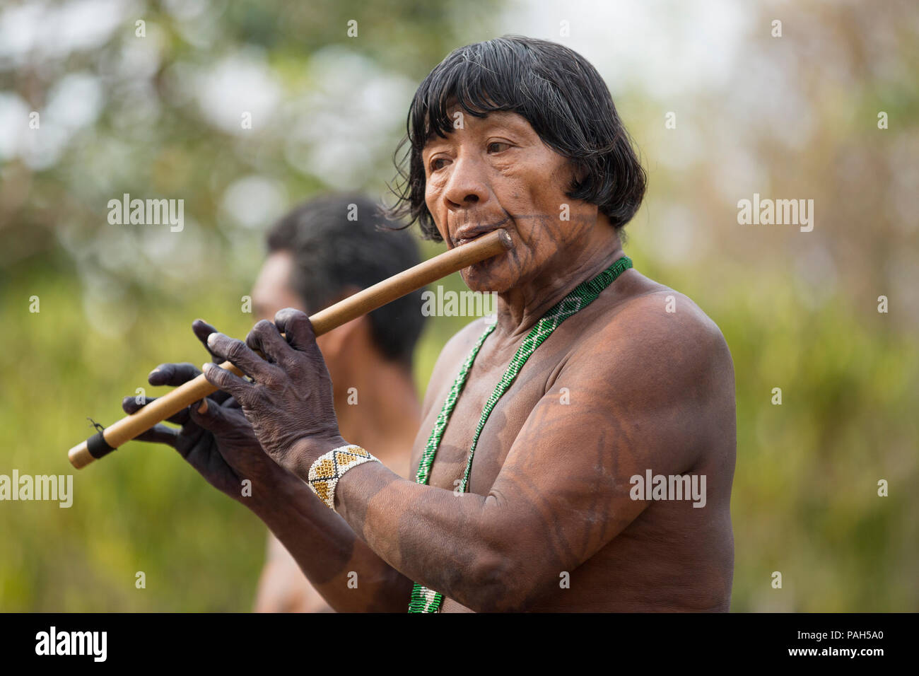 Südamerika, Panama, Darien Dschungel. Embera Mann spielt Flöte. Stockfoto