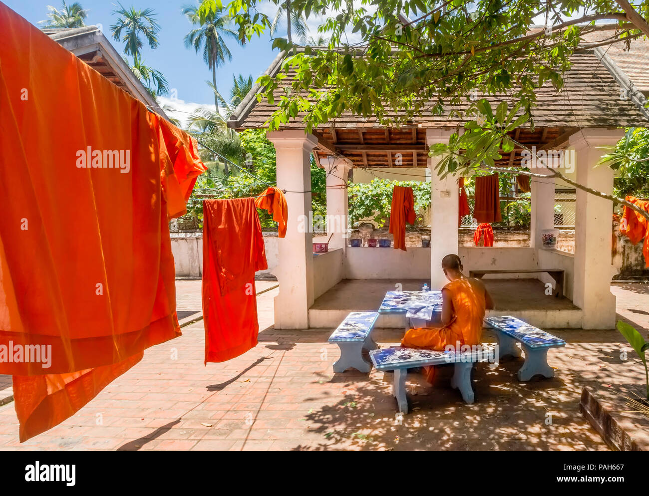 Junger buddhistischer Mönch Studien neben Orange cassocks in die Sonne gestreckt in Luang Prabang, Laos zu trocknen Stockfoto