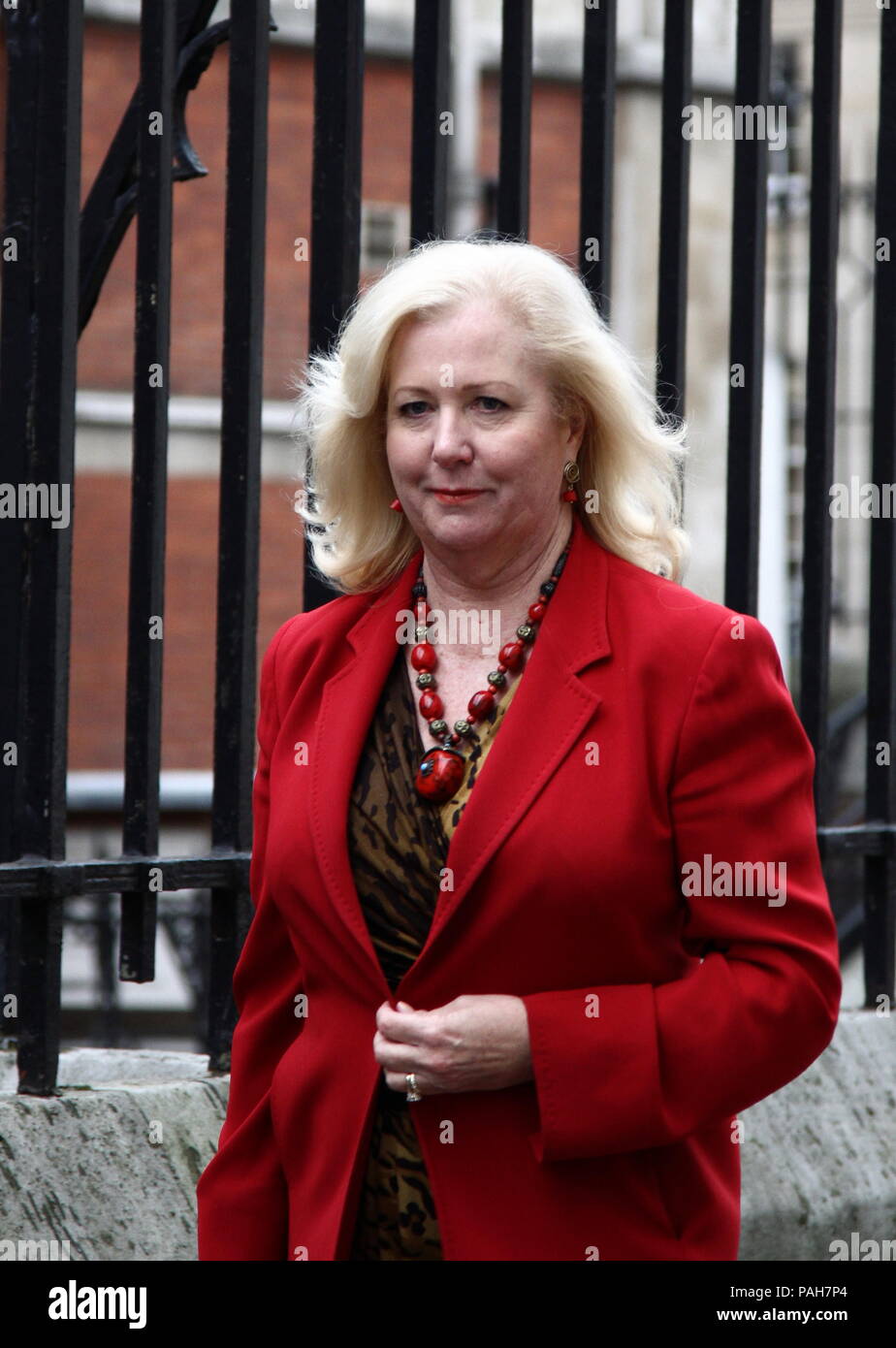 Mary Ellen Felder über die leveson Anfrage an der Royal Courts of Justice in The Strand, London, England zu besuchen. Mary Ellen Felder war sacked durch Supermodel Elle Macpherson re - Undichtigkeiten über die Modelle leben. Stockfoto