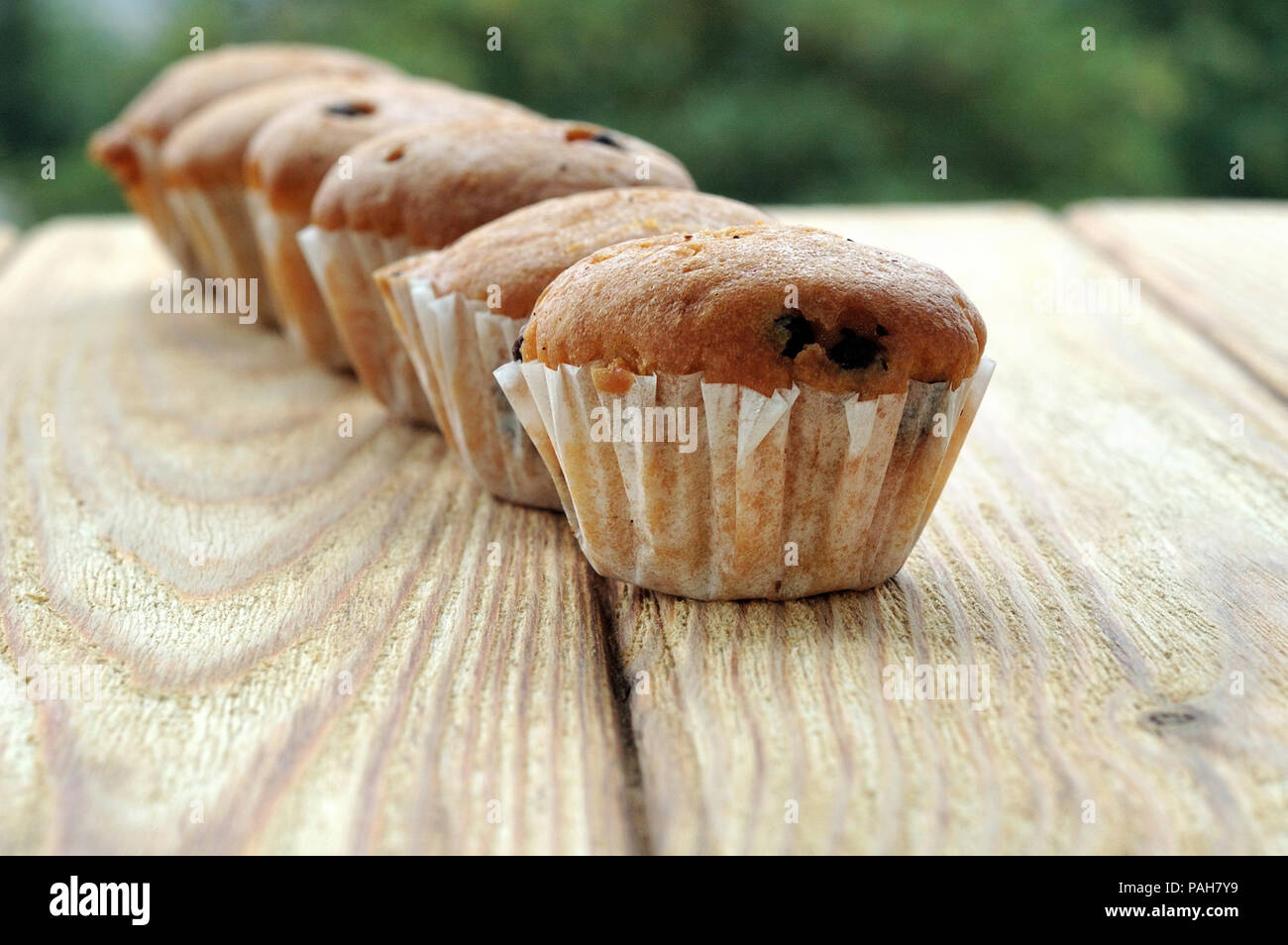 Muffins in einer Reihe auf einem Holz- Hintergrund Stockfoto