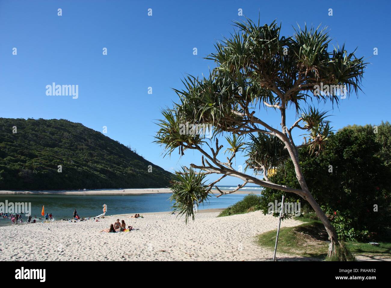 GOLD COAST, Australien - März 24: Surfer geben Sie das Meer am 24. März 2008 in Gold Coast. Gold Coast ist die 6. die bevölkerungsreichste Stadt in Australien und ein Stockfoto