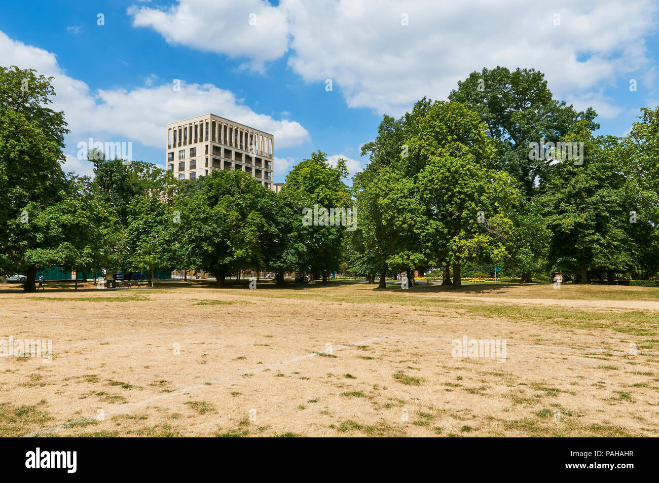 Trockene trockene Bedingungen in Clissold Park, Stoke Newington, London UK, während der Juli 2018 Hitzewelle Stockfoto