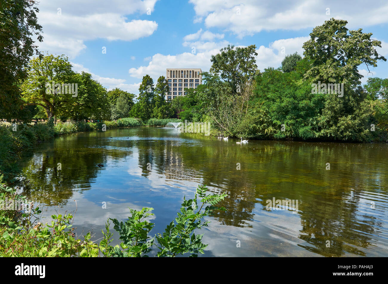 Clissold Park See im heißen Sommer 2018, Stoke Newington, London UK Stockfoto