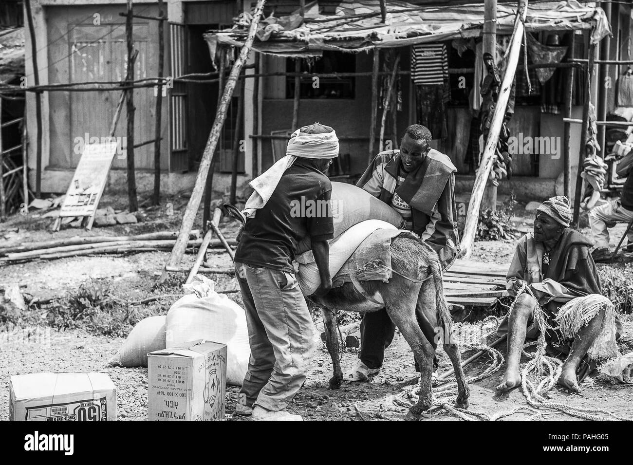OMO, Äthiopien - September 19, 2011: Unbekannter äthiopische Männer kostenlos ein Esel. Menschen in Äthiopien leiden der Armut wegen der instabilen Lage Stockfoto