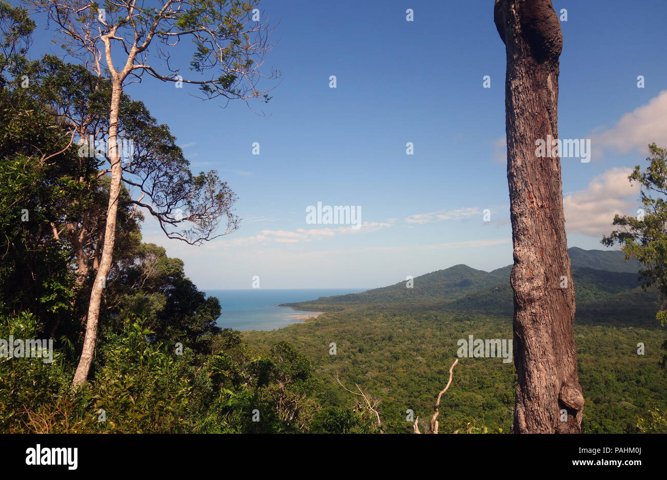 Ansicht der Fernbedienung Daintree Küste von oben von Donovan Range, Bloomfield Track, Daintree National Park, Queensland, Australien Stockfoto