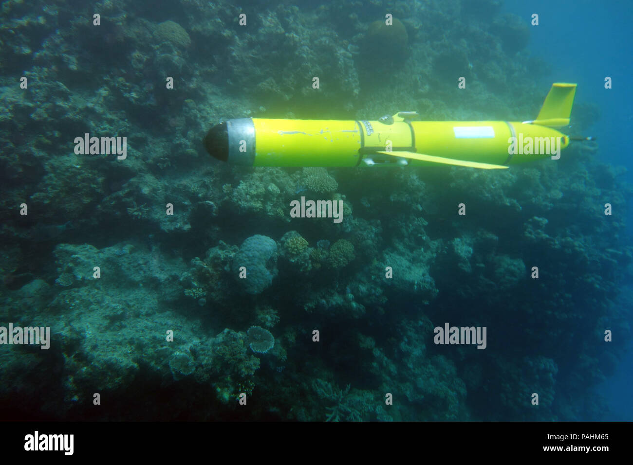 Slocum Ozean Segelflugzeug (Autonomous Underwater ozeanographische Instrument), die Riffkante, Great Barrier Reef, Queensland, Australien. Keine PR Stockfoto